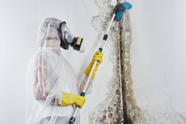 Biohazard Mold Removal in Chattahoochee Hills, GA